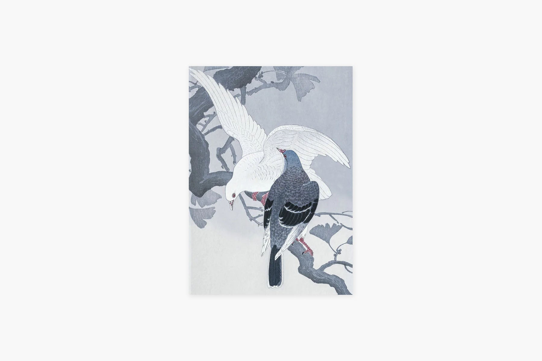 Lovebirds greeting card - pigeons, Suska & Kabsch, design stationery, home office