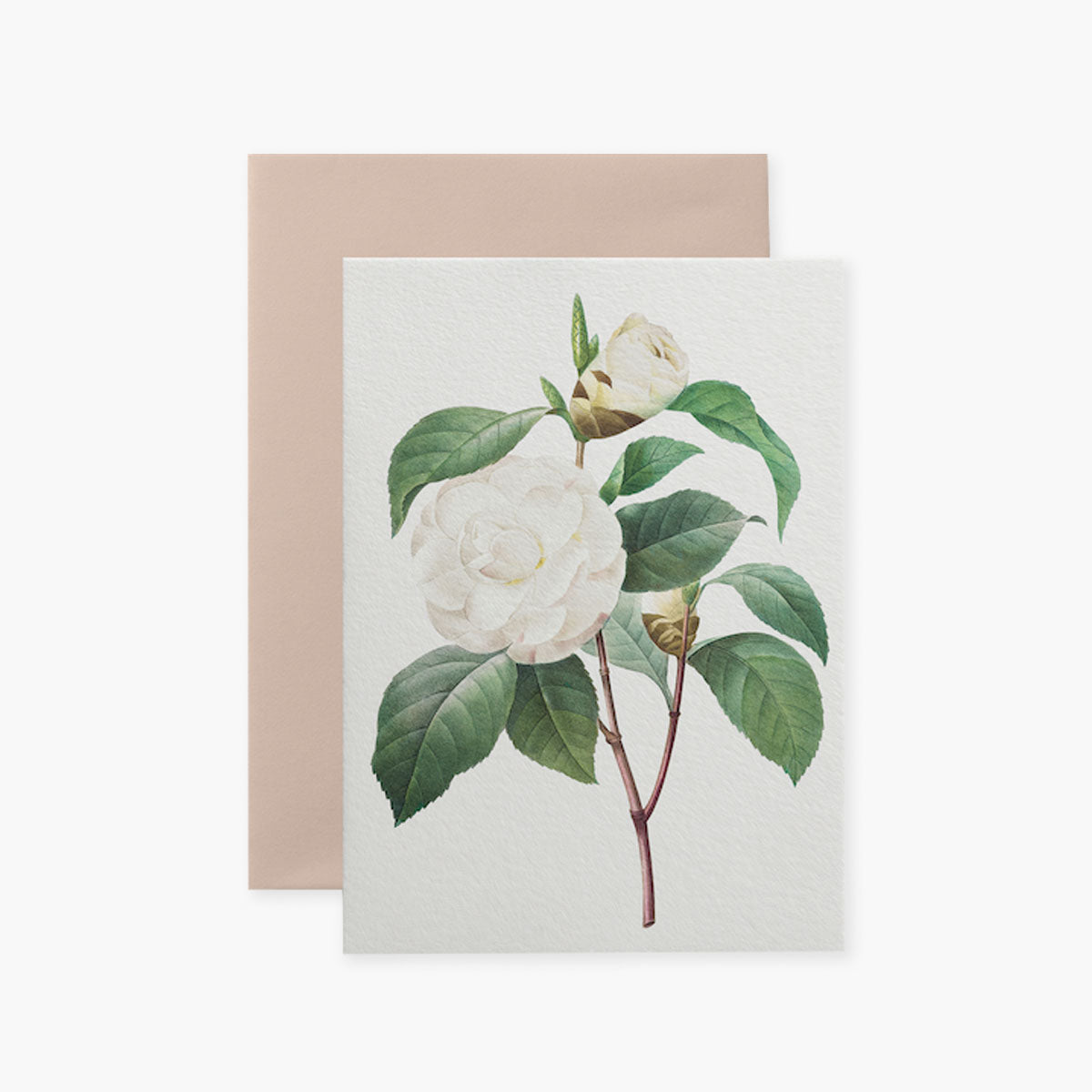 Greeting Card Big Flower II – White Camellia, Suska&Kabsch, stationery design