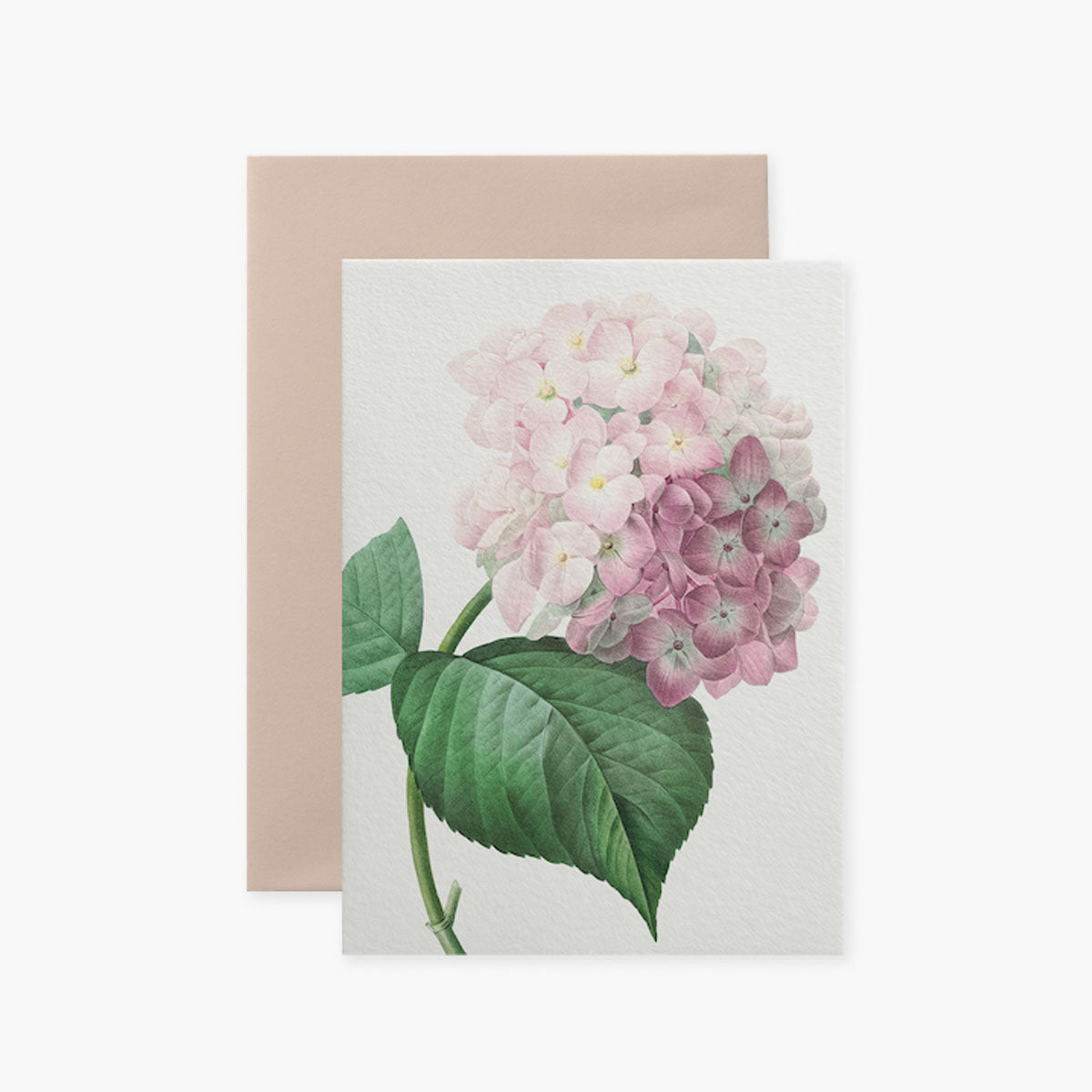 Greeting Card Big Flower I – Hydrangea, Suska&Kabsch, stationery design