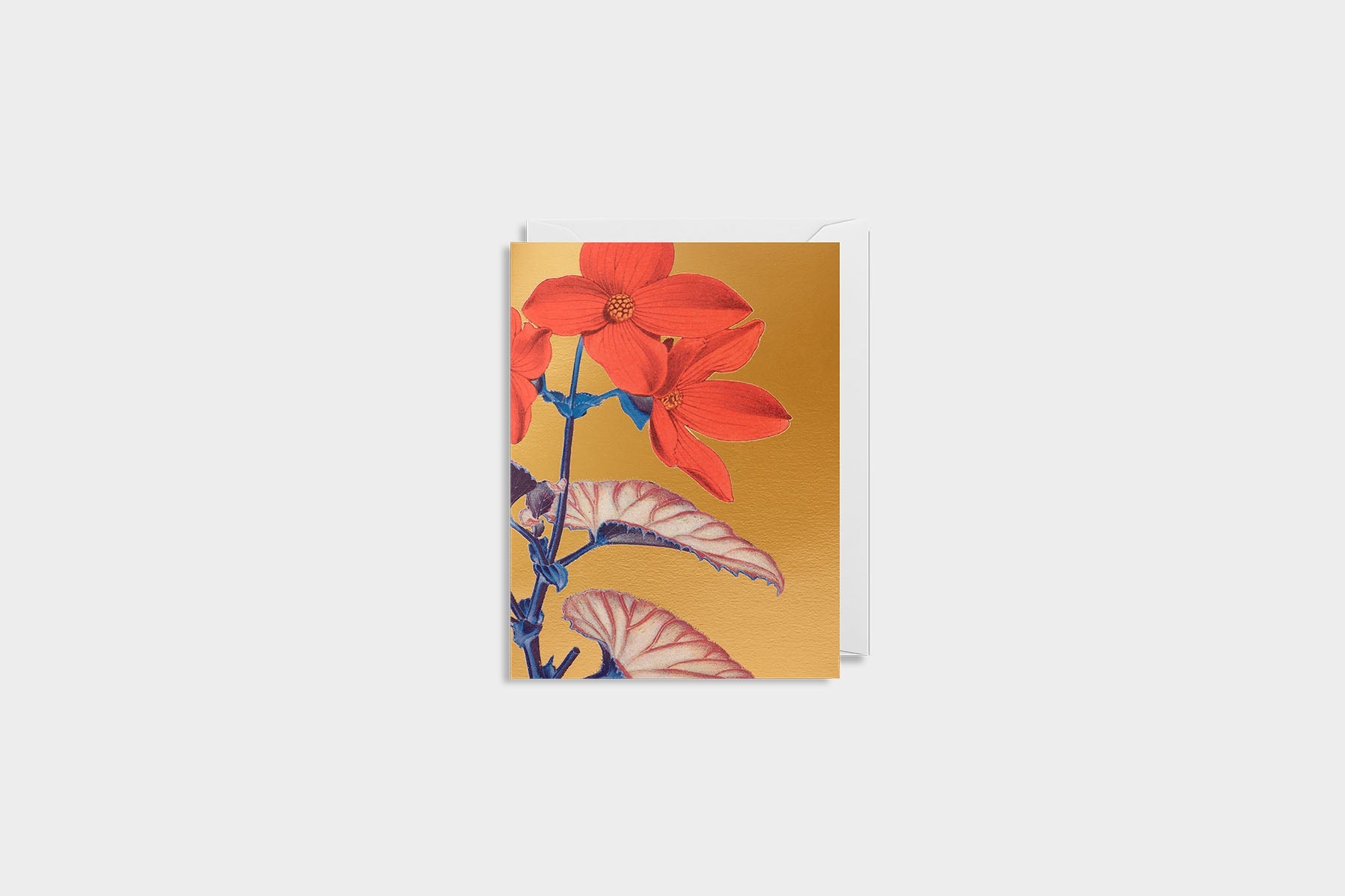 greeting card, decorative card, decorative card, stationery store, designer office supplies