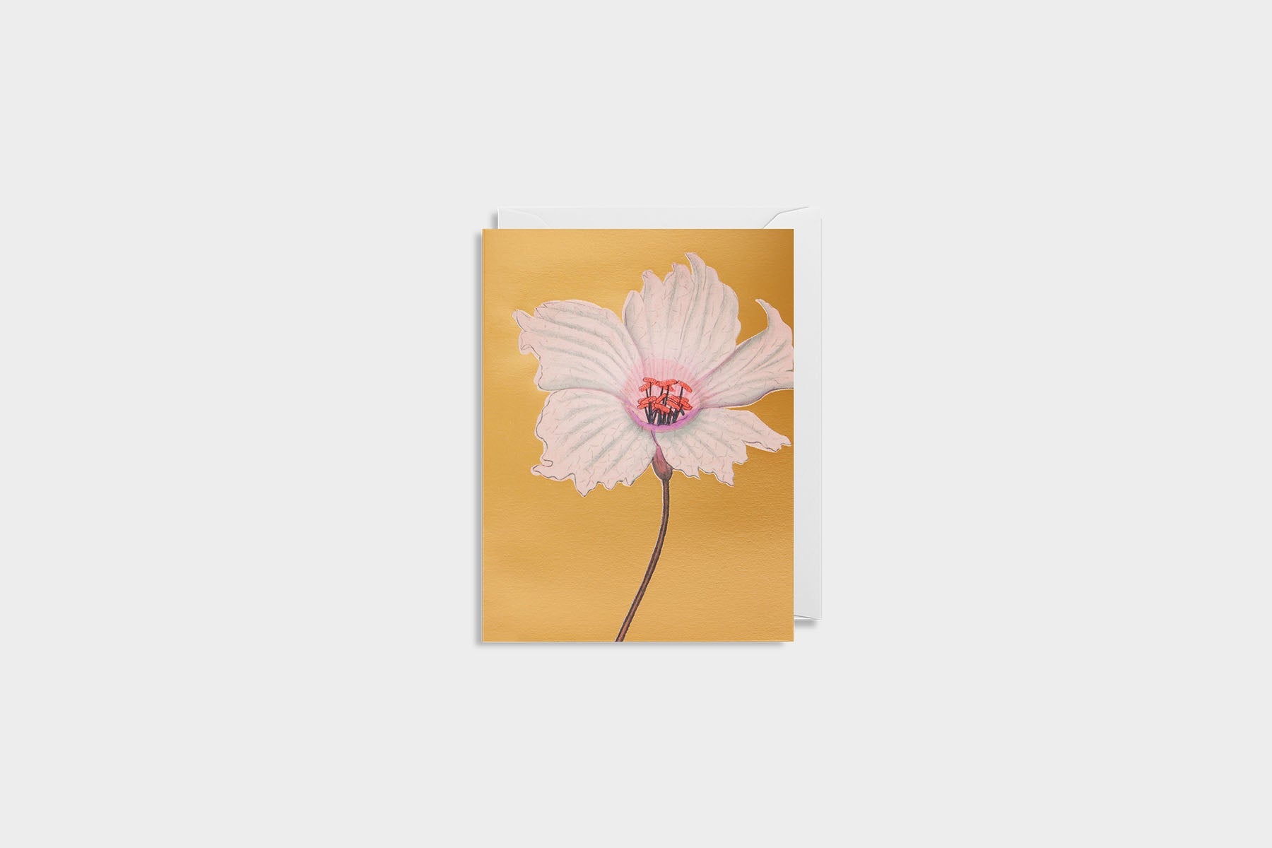 greeting card, decorative card, decorative card, stationery store, designer office supplies