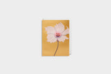 greeting card, decorative card, decorative card, stationery store, designer office supplies
