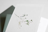 Greeting Card – Herbarium Garden, muska, greeting card, decoration card, flower card, stationery store, designer office supplies