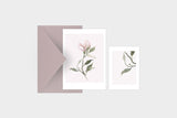 Greeting Card – Magnolia, muska, greeting card, decoration card, flower card, stationery store, designer office supplies