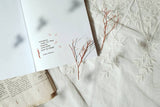 Decorative Stickers, Suatelier, home office stationery