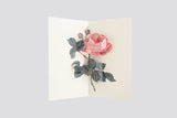 greeting card, decorative card, pop-up card, decorative card, stationery store, designer office supplies