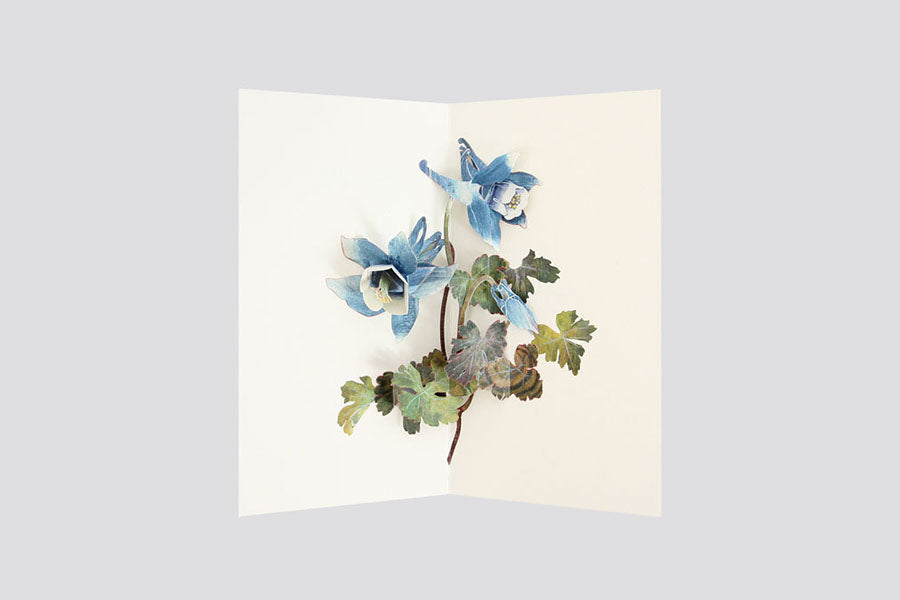 greeting card, decorative card, pop-up card, decorative card, stationery store, designer office supplies