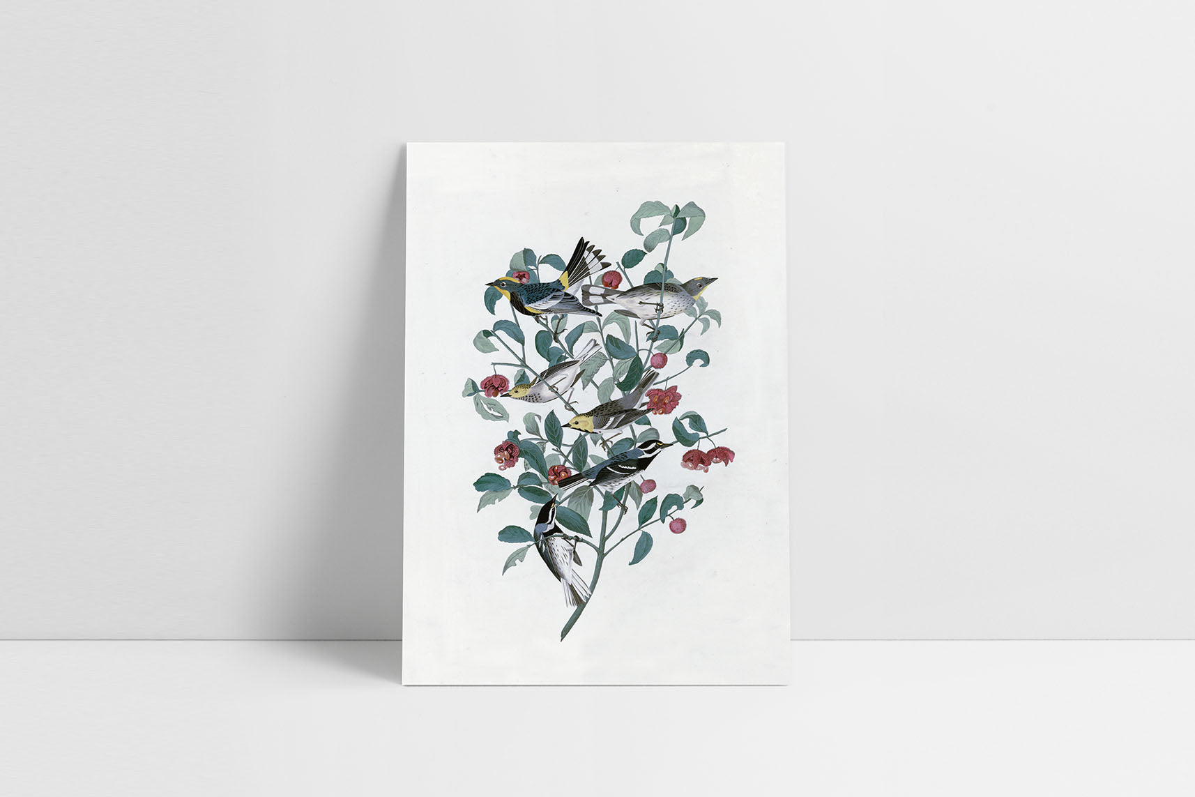 Greeting card J.J. Audubon I, Suska & Kabsch, design stationery shop, home office