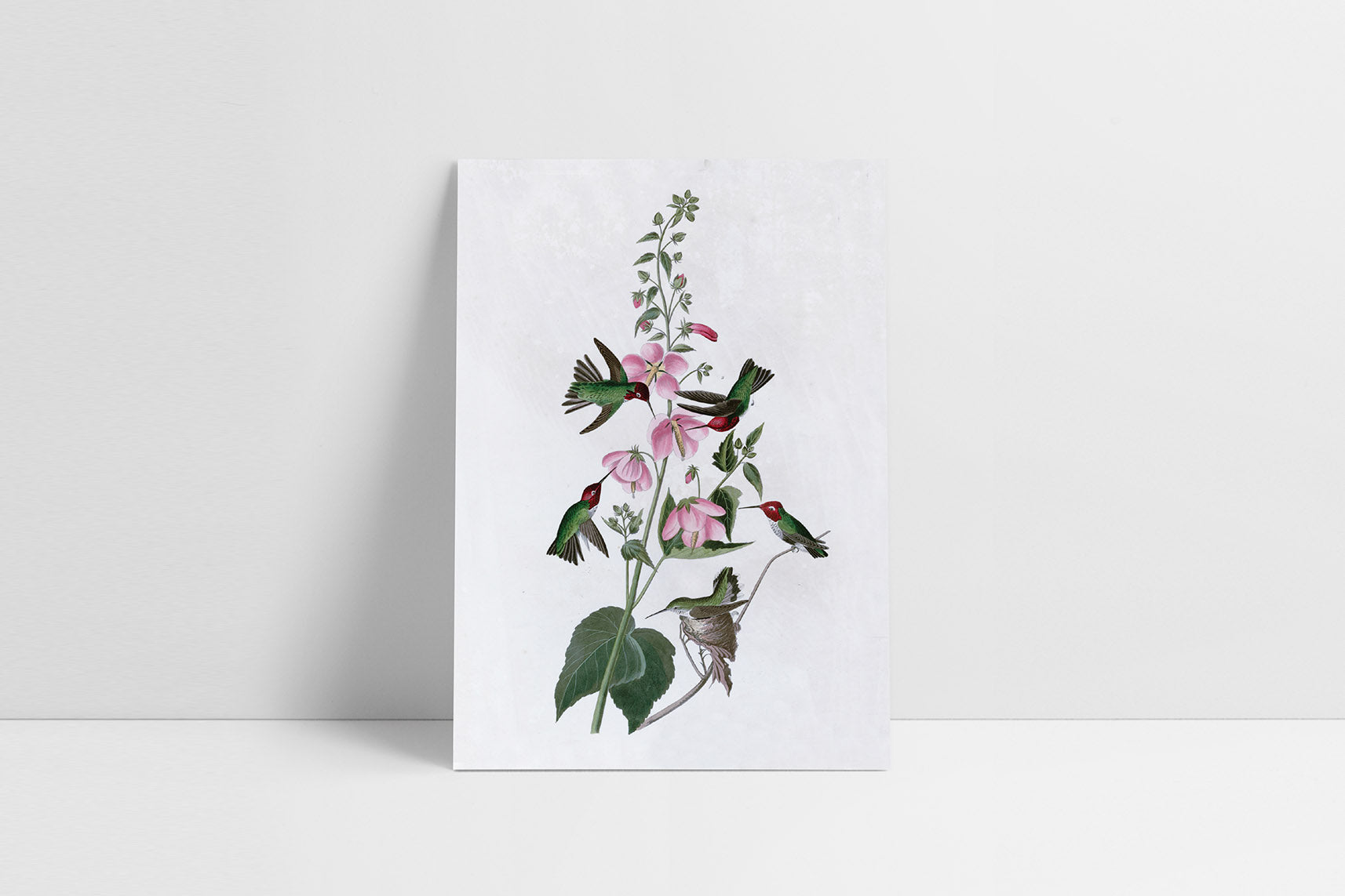 Greeting card J.J. Audubon II, Suska & Kabsch, design stationery shop, home office