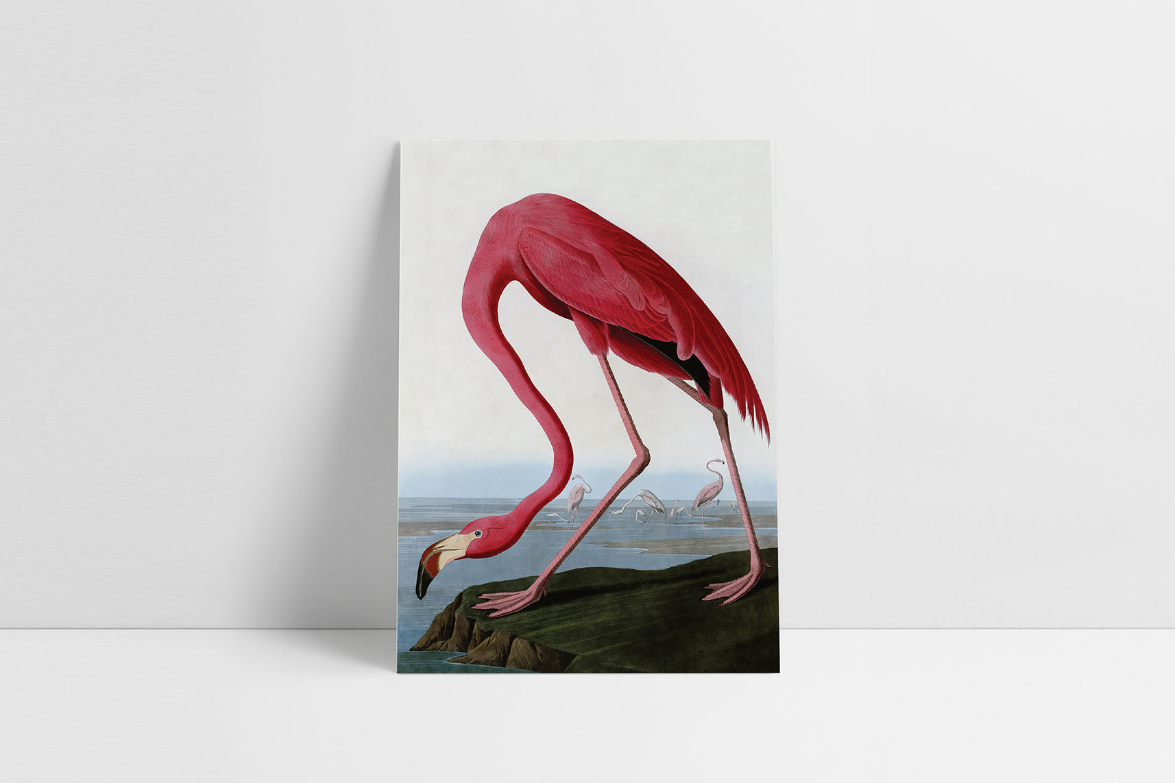 Greeting card J.J. Audubon III, Suska & Kabsch, design stationery shop, home office