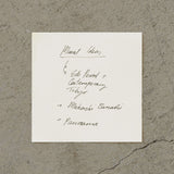 Midori MD Paper Block Memo – Plain, Midori, stationery design