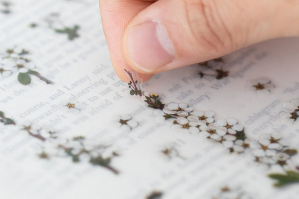 Decorative Stickers, Appree, home office, stationery design