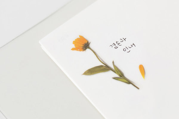 Decorative Stickers, Appree, home office, stationery design