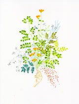 Kuretake Clean Color Dot – Green, Kuretake, stationery design