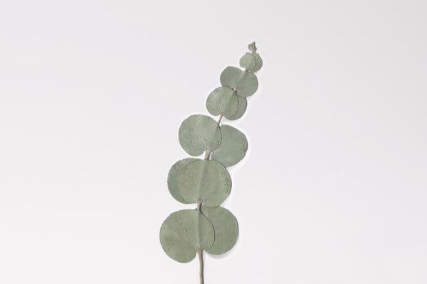 Decorative Stickers, Appree, home office, stationery design