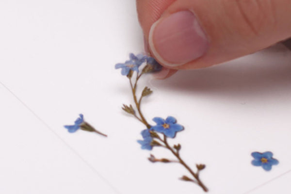 Decorative Stickers, Appree, home office, stationery design