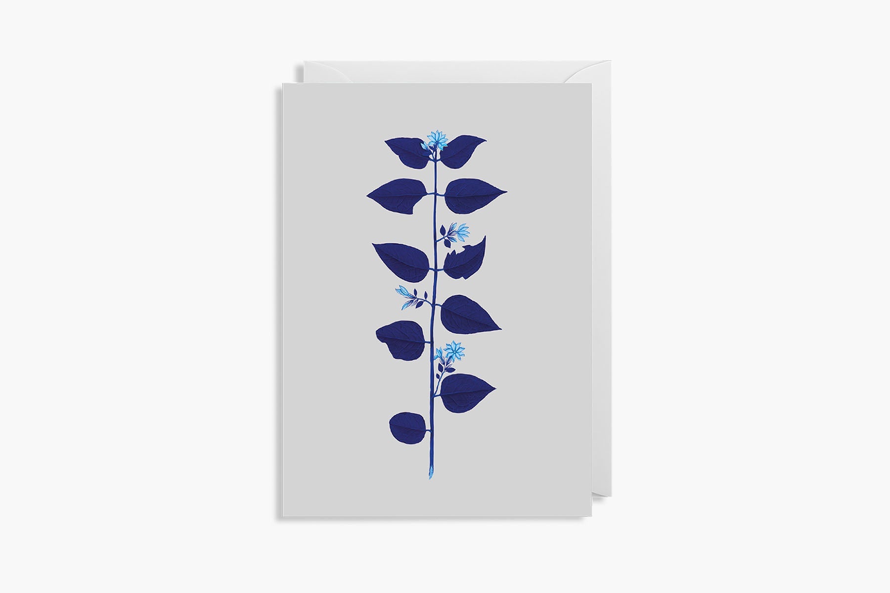 Greeting Card – Branch, Lagom, sationery design