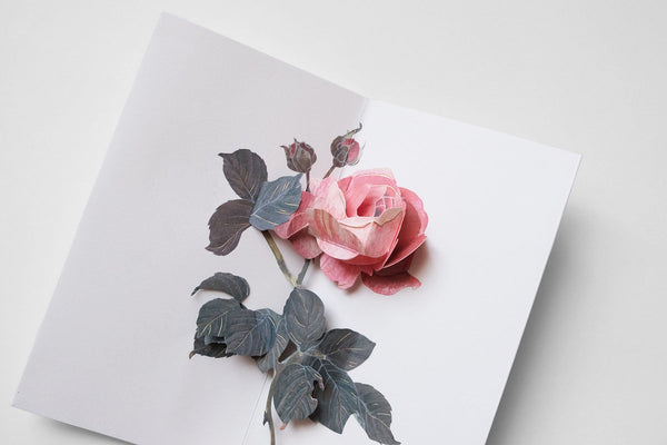 greeting card, decorative card, pop-up card, decorative card, stationery store, designer office supplies
