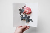 greeting card, decorative card, pop-up card, decorative card, stationery store, designer office supplies