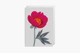 Greeting Card –  Peony, Lagom, stationery design