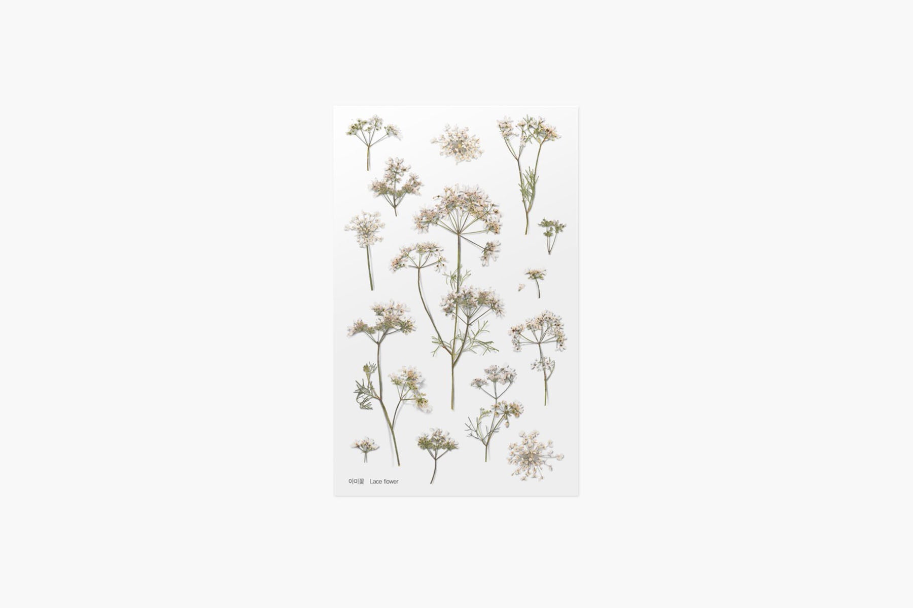 Decorative Stickers, Appree, home office, stationery design