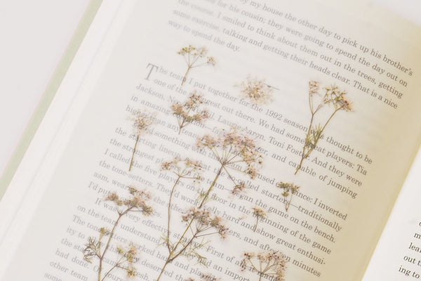 Decorative Stickers, Appree, home office, stationery design