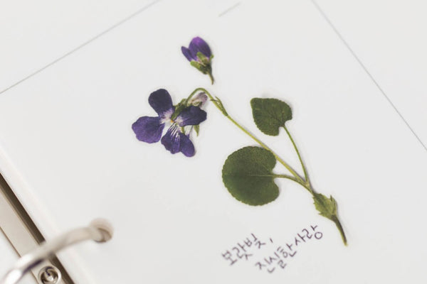 Decorative Stickers, Appree, stationery, home office