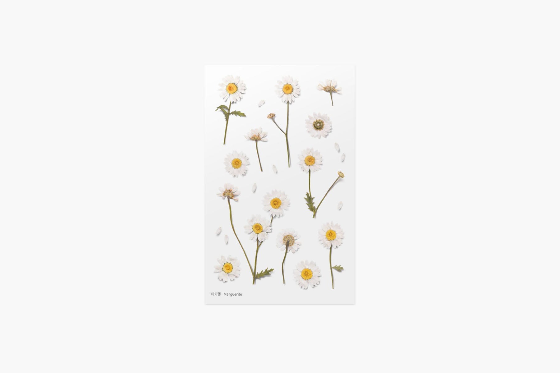 Decorative Stickers, Appree, stationery, home office