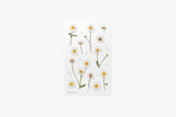Decorative Stickers, Appree, stationery, home office