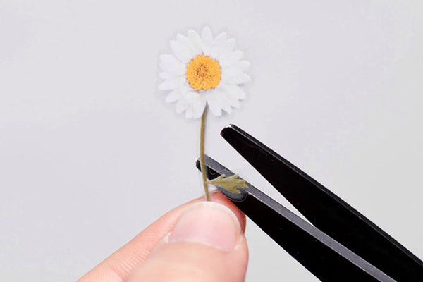 Decorative Stickers, Appree, stationery, home office