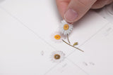 Decorative Stickers, Appree, stationery, home office