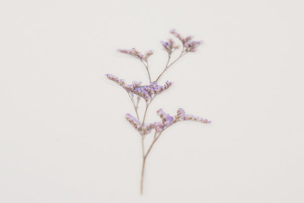 Decorative Stickers, Appree, stationery, home office