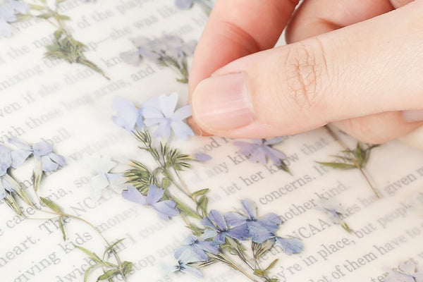 Decorative Stickers, Appree, stationery, home office