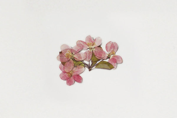 Decorative Stickers, Appree, home office, stationery design