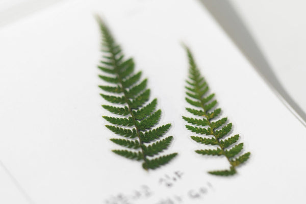 Decorative Stickers, Appree, home office, stationery design