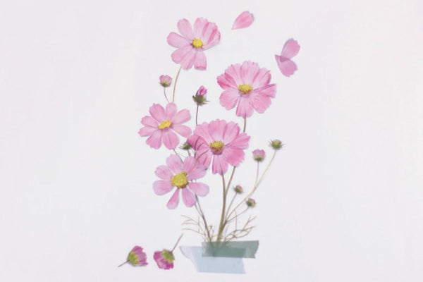 Decorative Stickers, Appree, home office, stationery design