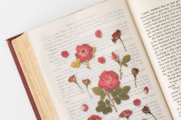 Decorative Stickers, Appree, stationery, home office