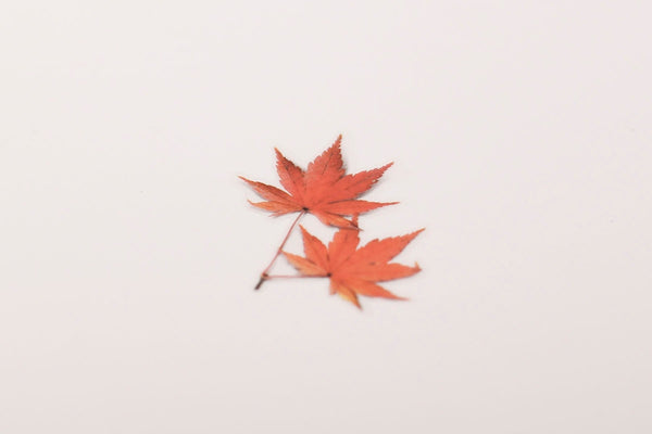 Decorative Stickers, Appree, stationery, home office