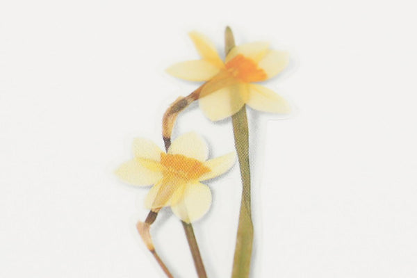 Decorative Stickers, Appree, stationery, home office