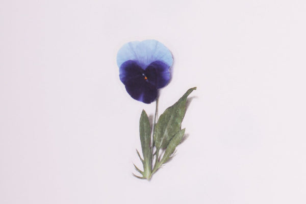 Decorative Stickers, Appree, stationery, home office