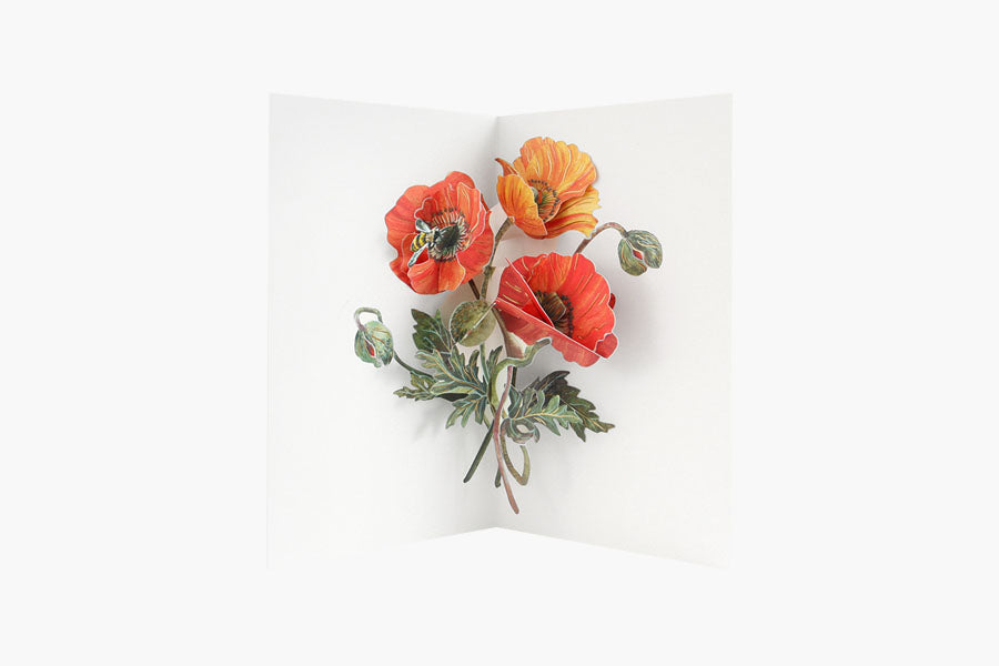 greeting card, decorative card, pop-up card, decorative card, stationery store, designer office supplies