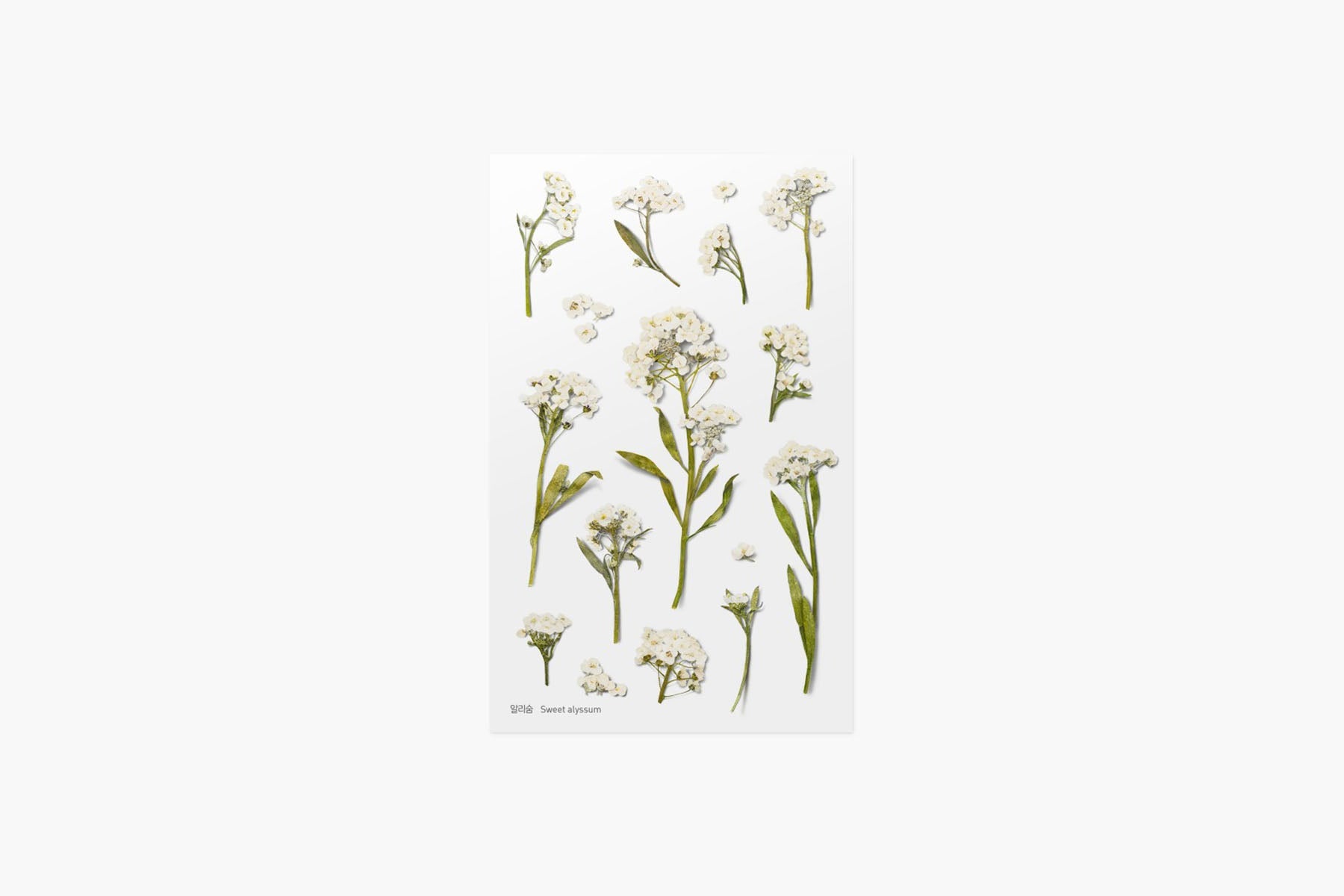 Decorative Stickers, Appree, stationery, home office
