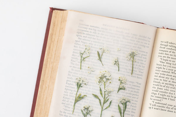 Decorative Stickers, Appree, stationery, home office