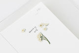 Decorative Stickers, Appree, stationery, home office