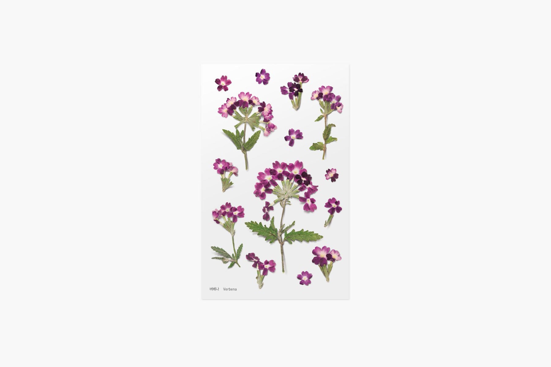 Decorative Stickers, Appree, stationery, home office