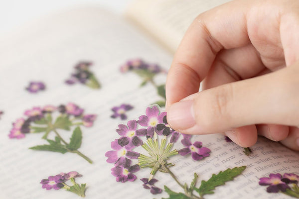 Decorative Stickers, Appree, stationery, home office