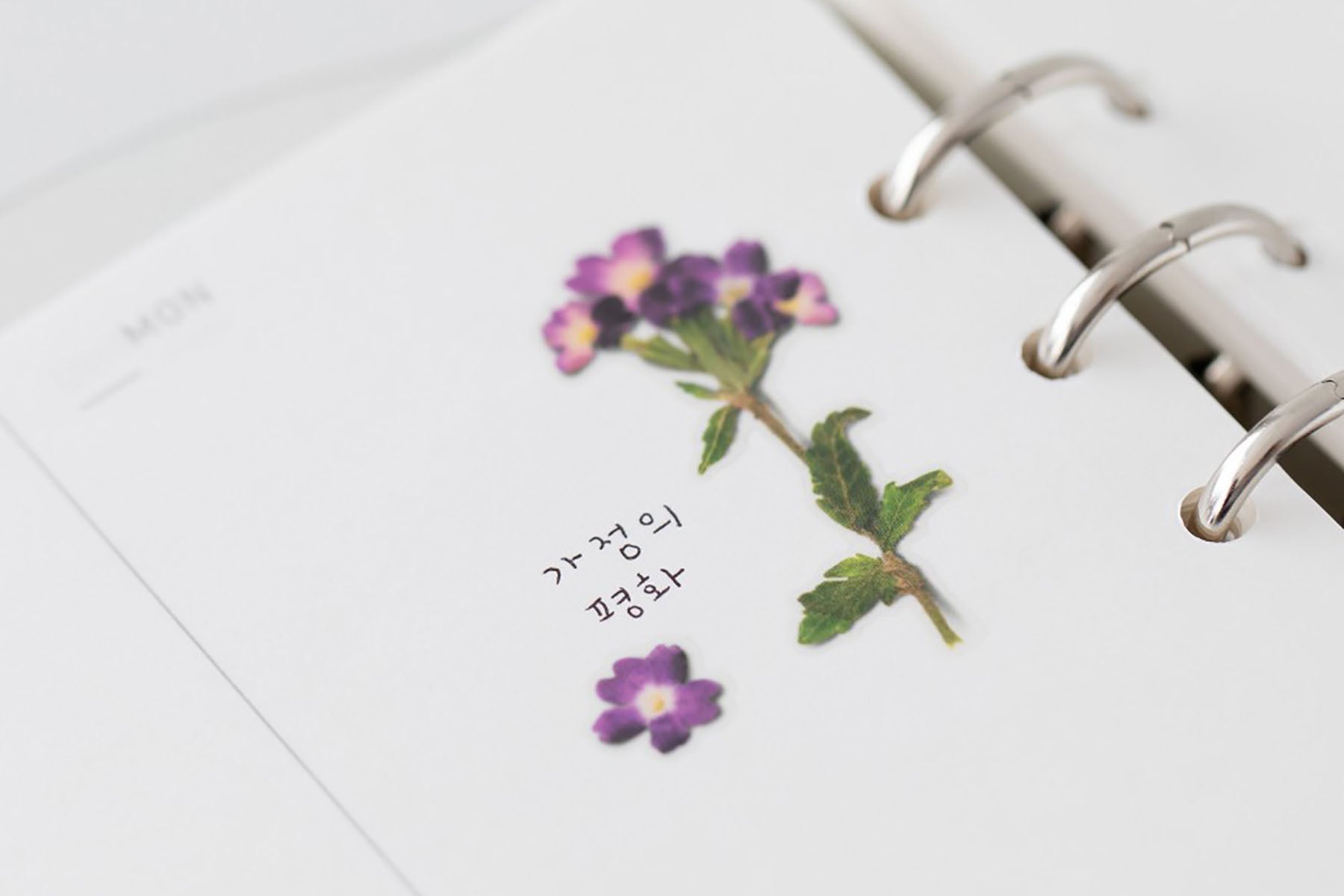 Decorative Stickers, Appree, stationery, home office