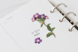 Decorative Stickers, Appree, stationery, home office