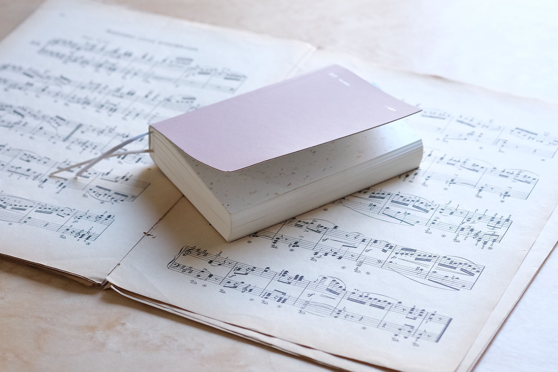 The Everyday Calendar The Everyday Calendar