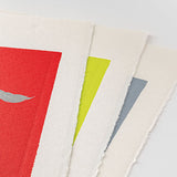 Echizen S Wall Calendar 2026 – Animal, Midori, stationery design